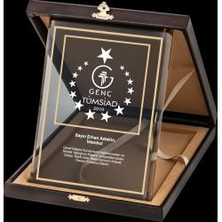 Altın Yaldız Kristal Plaket