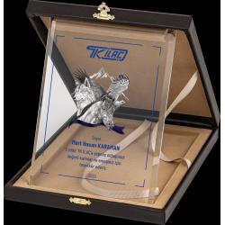 Altın Yaldız Kristal Plaket